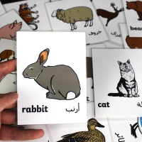 صورة 3-8age الأطفال الحيوانات بطاقة العربية/الإنجليزية كلمة مشاعل التعلم في وقت مبكر التعليمية مونتيسوري Memorie مرحلة ما قبل المدرسة لعب للأطفال