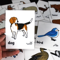 صورة 3-8age الأطفال الحيوانات بطاقة العربية/الإنجليزية كلمة مشاعل التعلم في وقت مبكر التعليمية مونتيسوري Memorie مرحلة ما قبل المدرسة لعب للأطفال