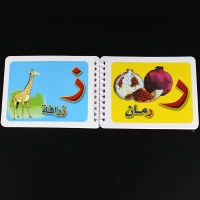 صورة كتب تعليم اللغة العربية مونتيسوري الأبجدية كتب كتب رياض الأطفال للأطفال التعليم المبكر للأطفال ما قبل المدرسة