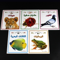 صورة 10 كتب/مجموعات للأطفال تعلم الحيوانات العربية/الحشرات/كلمة المرور صور كتب القراءة قصة الطفل قراءة كتاب تعليمي