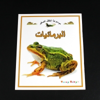 صورة 10 كتب/مجموعات للأطفال تعلم الحيوانات العربية/الحشرات/كلمة المرور صور كتب القراءة قصة الطفل قراءة كتاب تعليمي