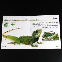 صورة 10 كتب/مجموعات للأطفال تعلم الحيوانات العربية/الحشرات/كلمة المرور صور كتب القراءة قصة الطفل قراءة كتاب تعليمي