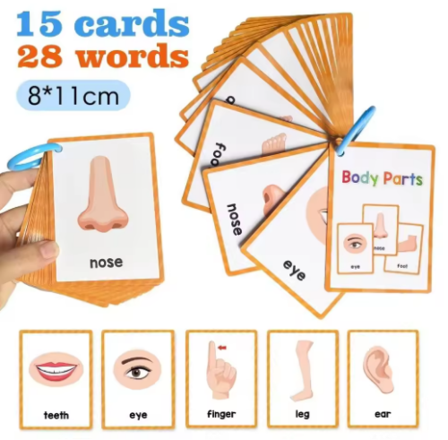 صورة 15 بطاقة أجزاء جسم الأطفال بطاقة المعرفية ألعاب مونتيسوري بطاقات فلاش لتعليم الأطفال التنوير بطاقة تعلم اللغة الإنجليزية